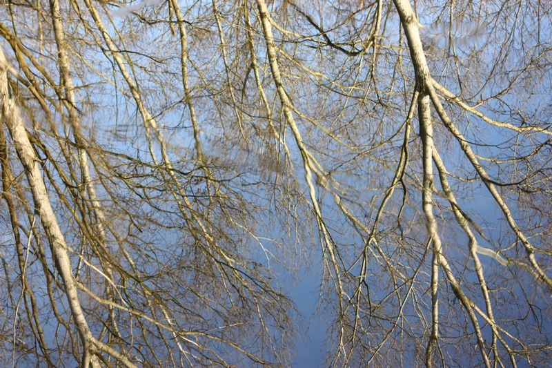 Un mondo riflesso...
